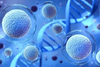 Novo Nordisk Pharmaceutical
